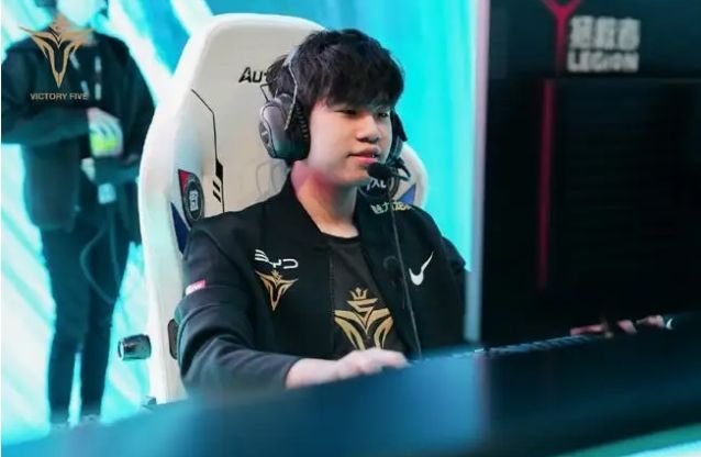 有机蔬菜 有机蔬菜